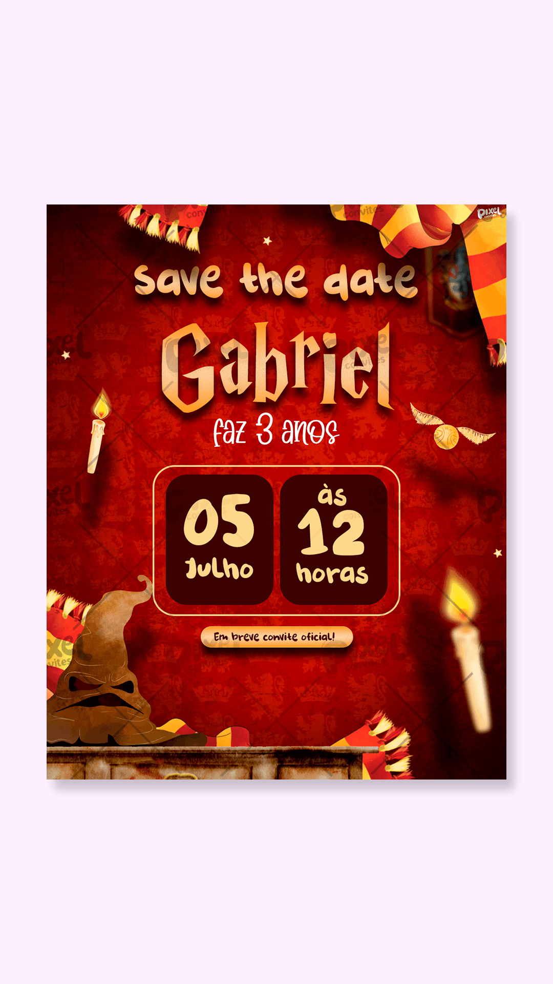 Save The Date Harry Potter O Escolhido de Grifinória