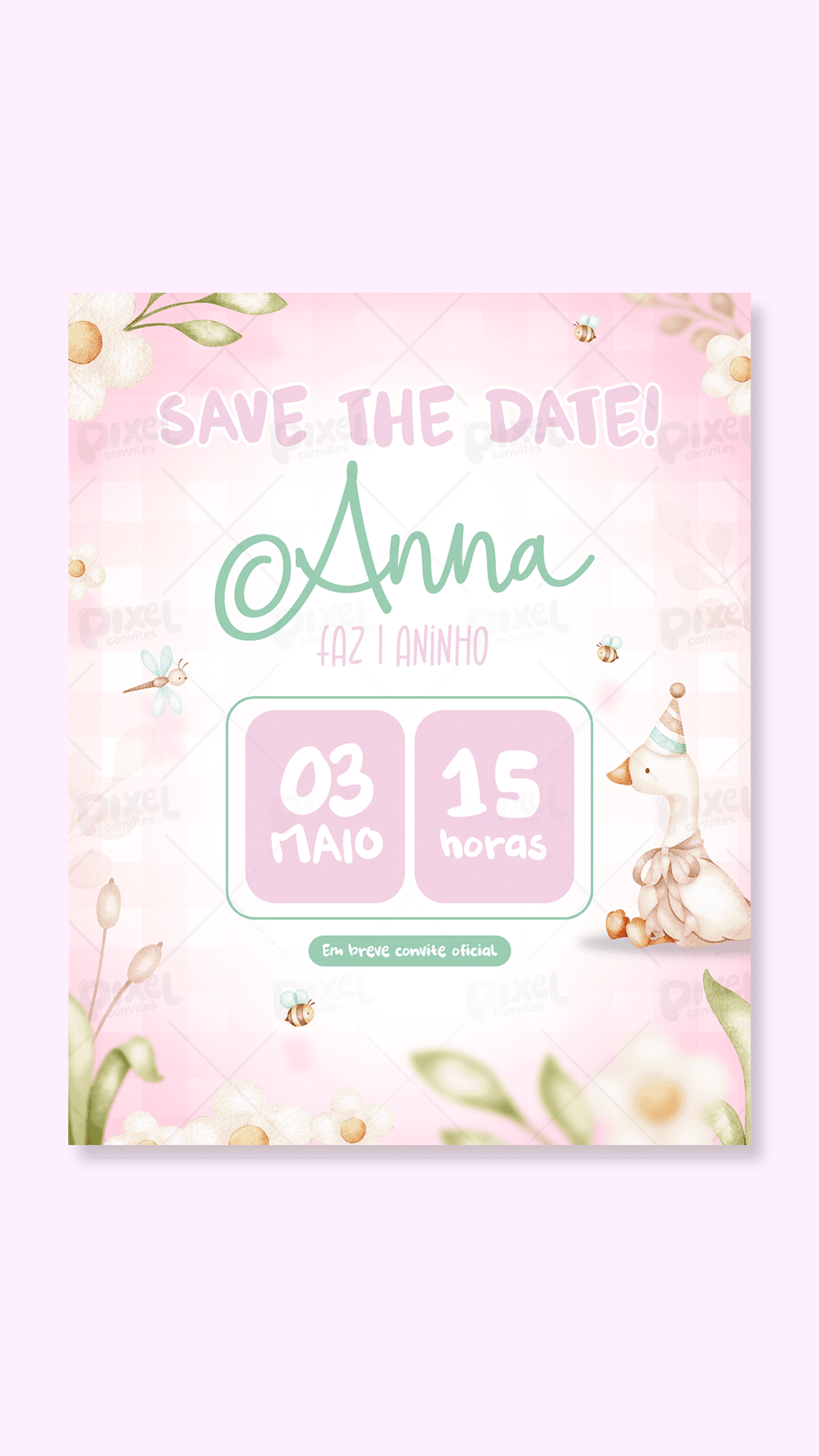 Save The Date Festa No Lago