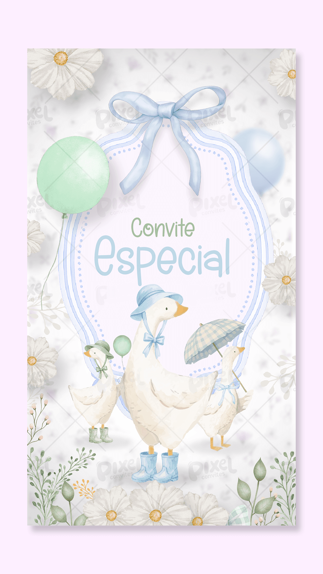 Convite Animado Silly Goose A Festa Dos Gansos - Menino